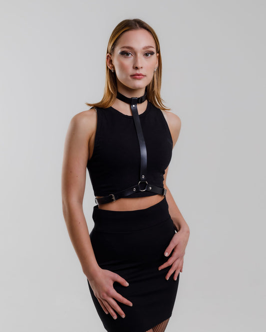 Double sided harness